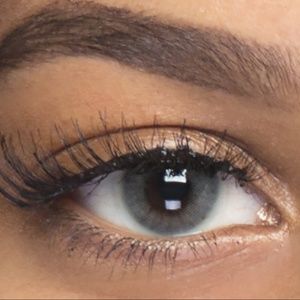 Graphite/ THE PRICE IS FIRM/